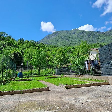 Le Camelie, Natura E Relax Villa Bordano Eksteriør bilde